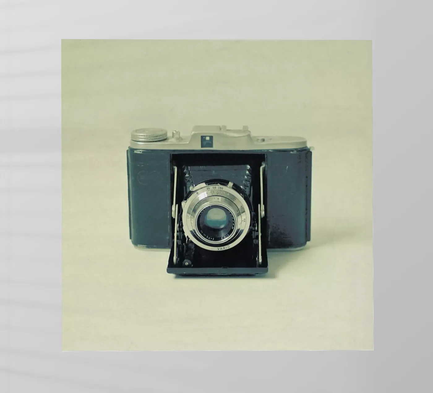 Catturato pellicola backlit da Cassia Beck Photography