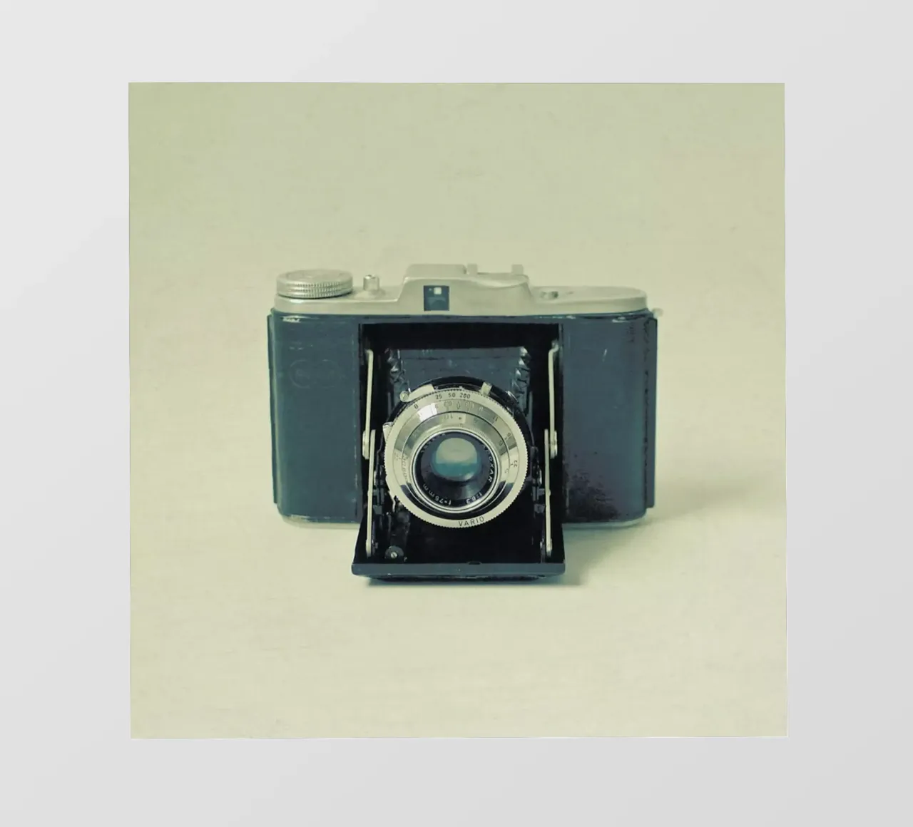 Catturato pellicola backlit da Cassia Beck Photography