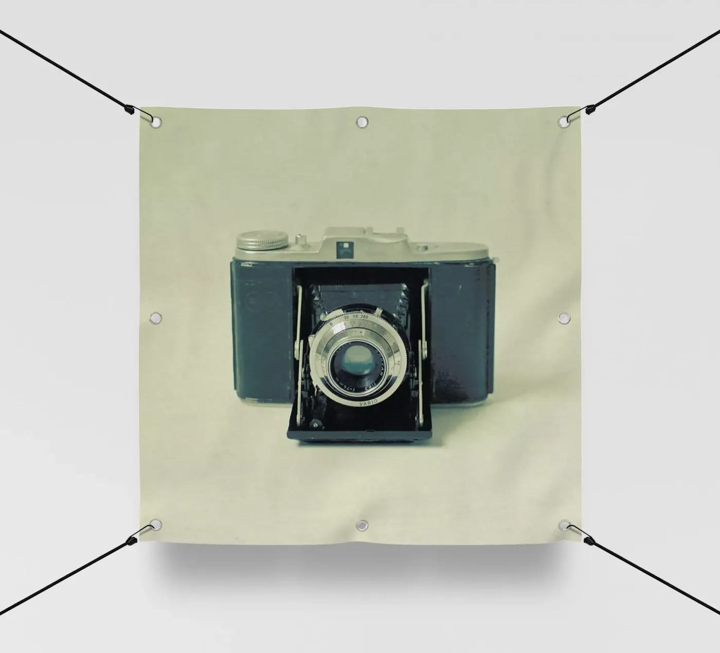 Captured pvc cover by Cassia Beck Photography