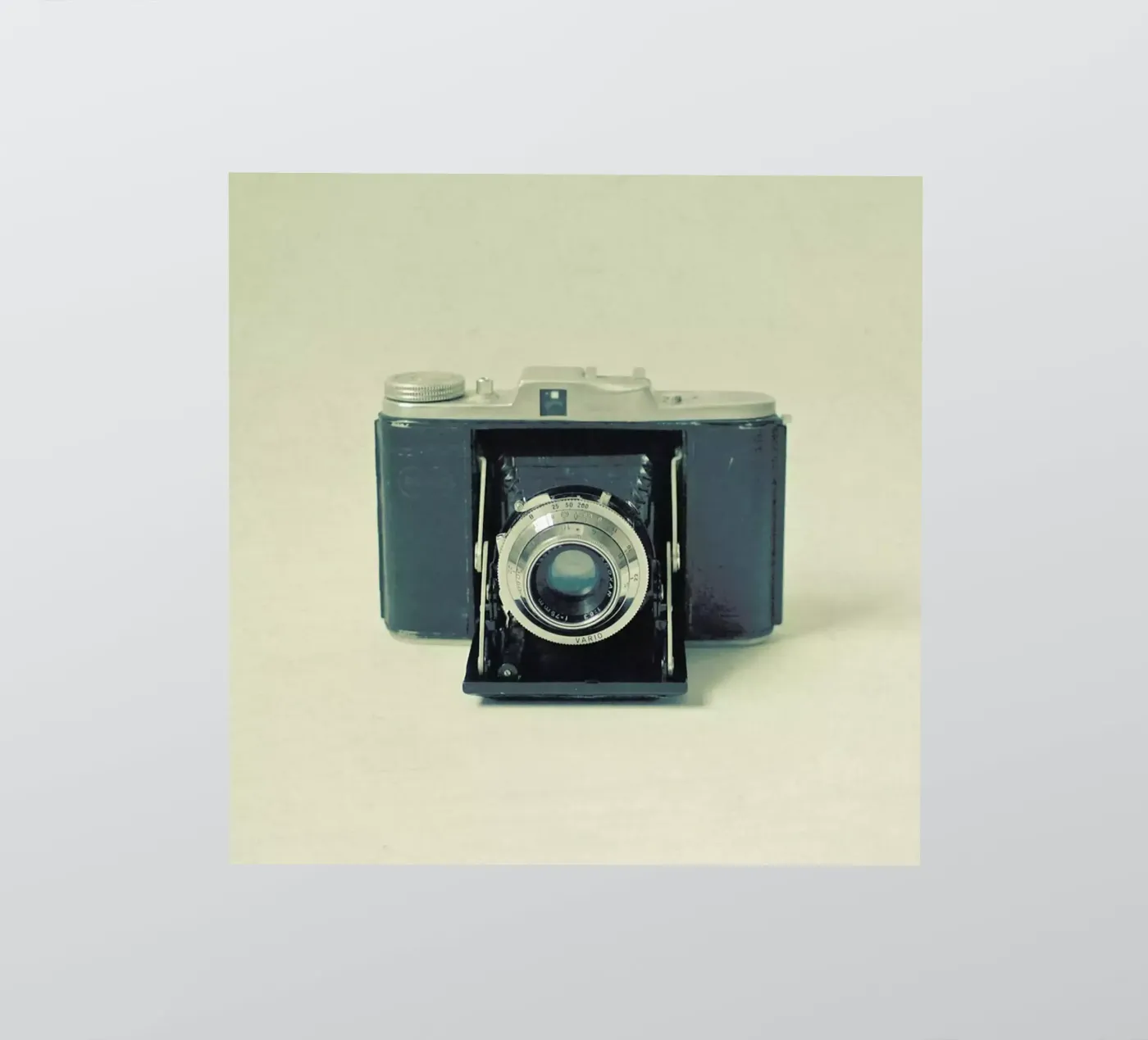 Catturato adesivo da Cassia Beck Photography