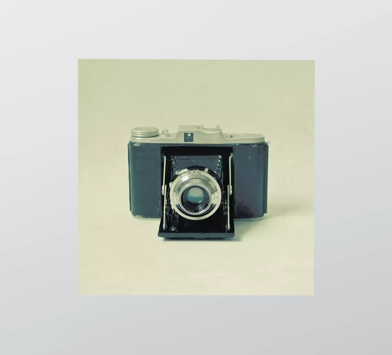 Captured sticker by Cassia Beck Photography