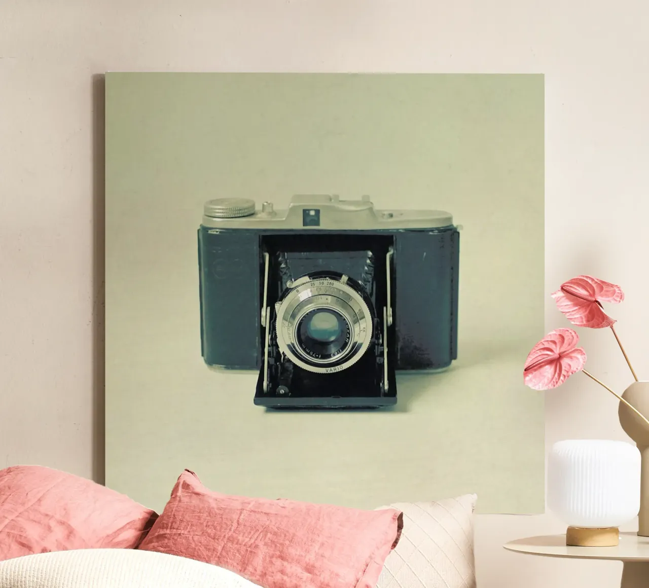 Captured canvas by Cassia Beck Photography