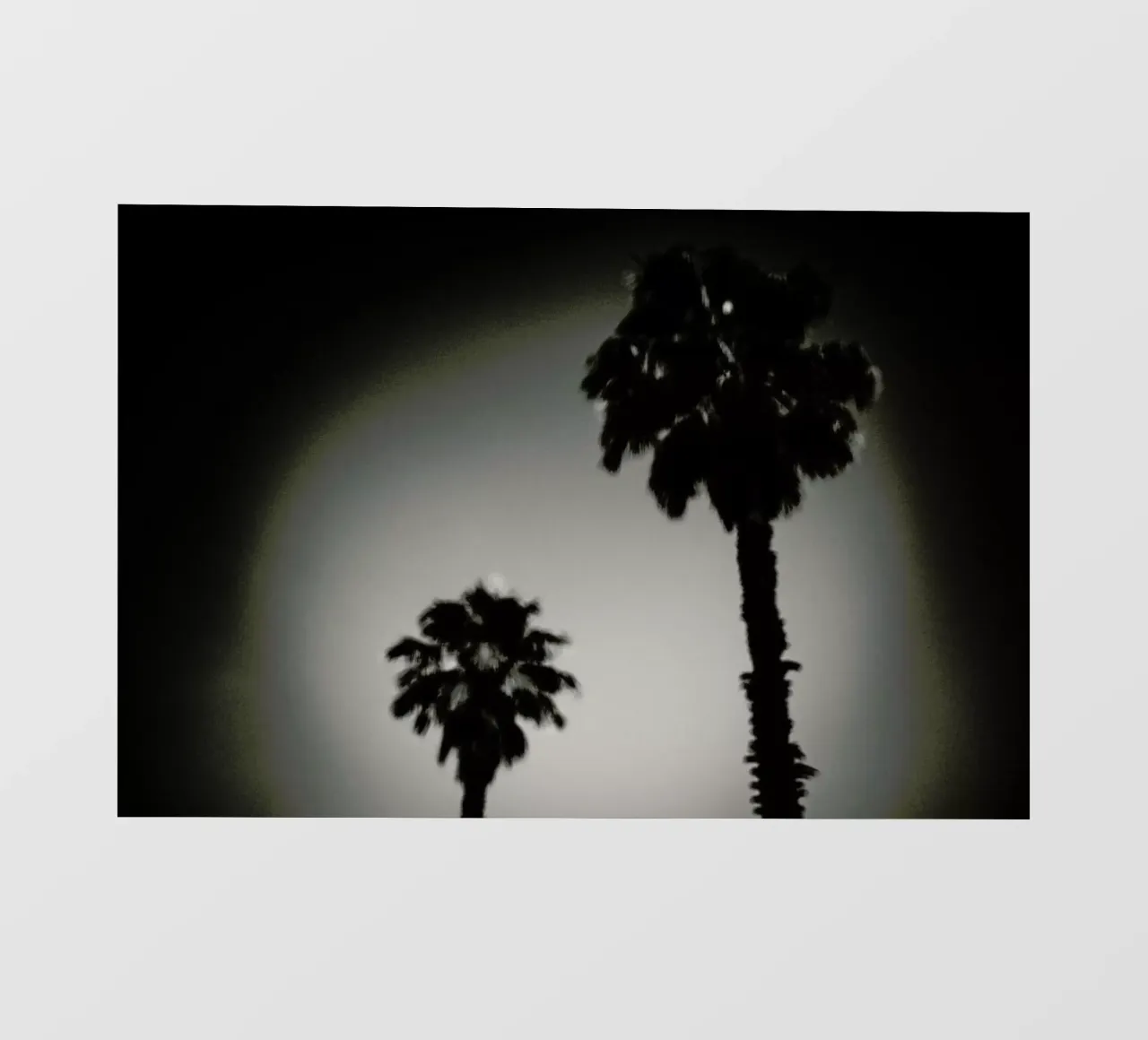 Why are palm trees so damn happy? backlit folie van Tal Paz-Fridman