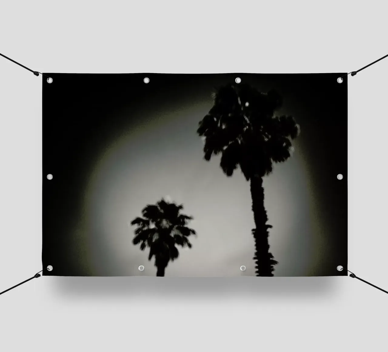 Why are palm trees so damn happy? telo in pvc da Tal Paz-Fridman