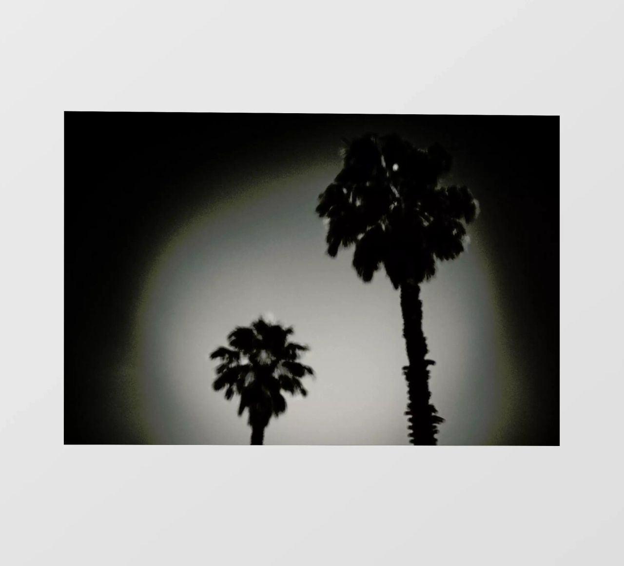 Why are palm trees so damn happy? telo in pvc da Tal Paz-Fridman