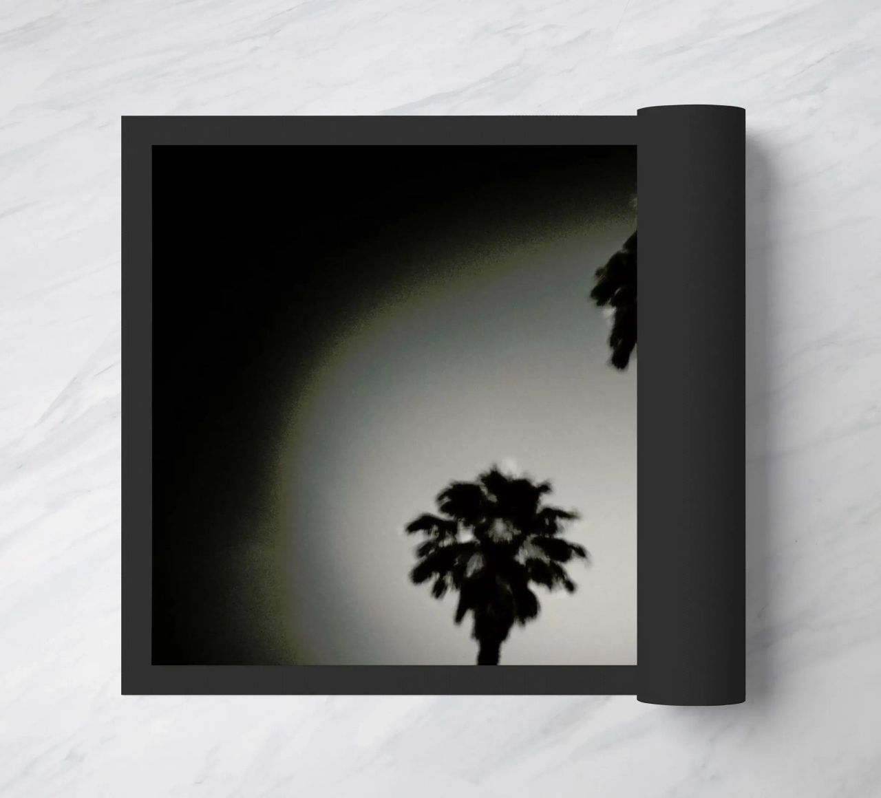 Why are palm trees so damn happy? zerbino da Tal Paz-Fridman