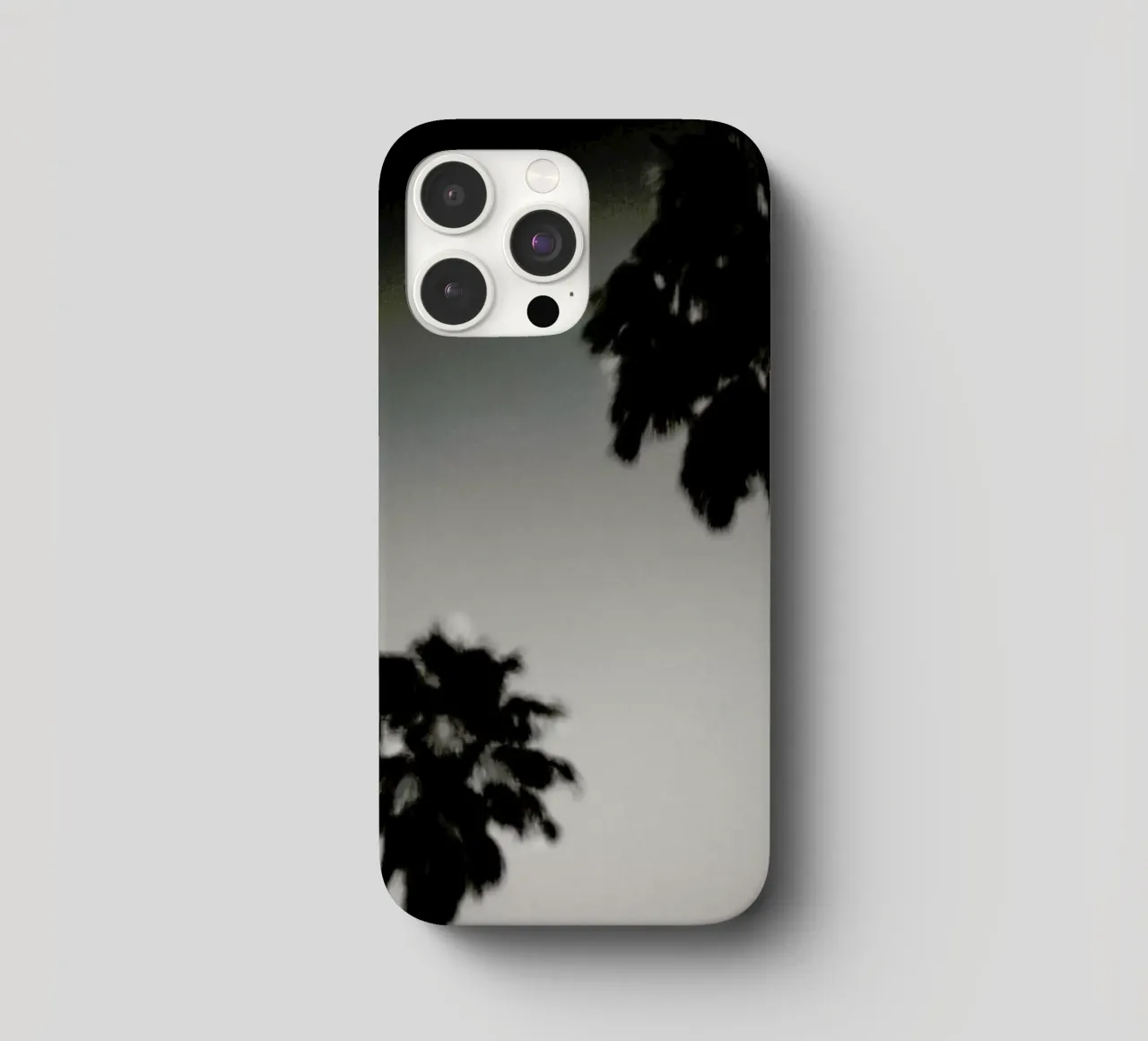 Why are palm trees so damn happy? cover iphone da Tal Paz-Fridman