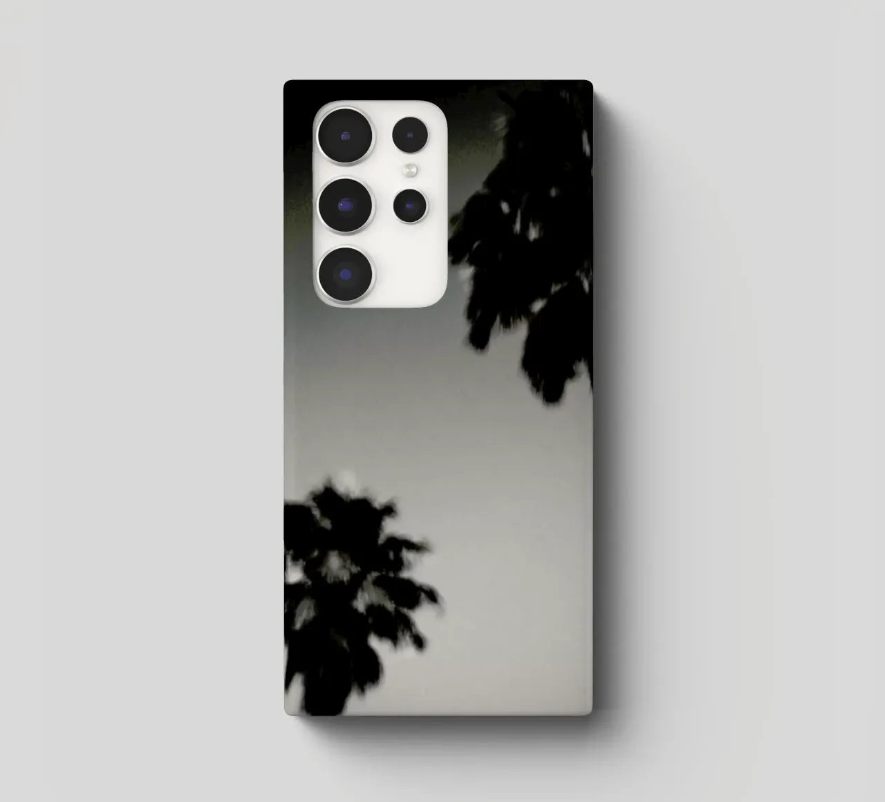 Why are palm trees so damn happy? cover samsung da Tal Paz-Fridman