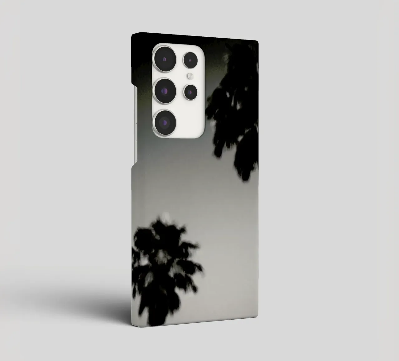 Why are palm trees so damn happy? cover samsung da Tal Paz-Fridman