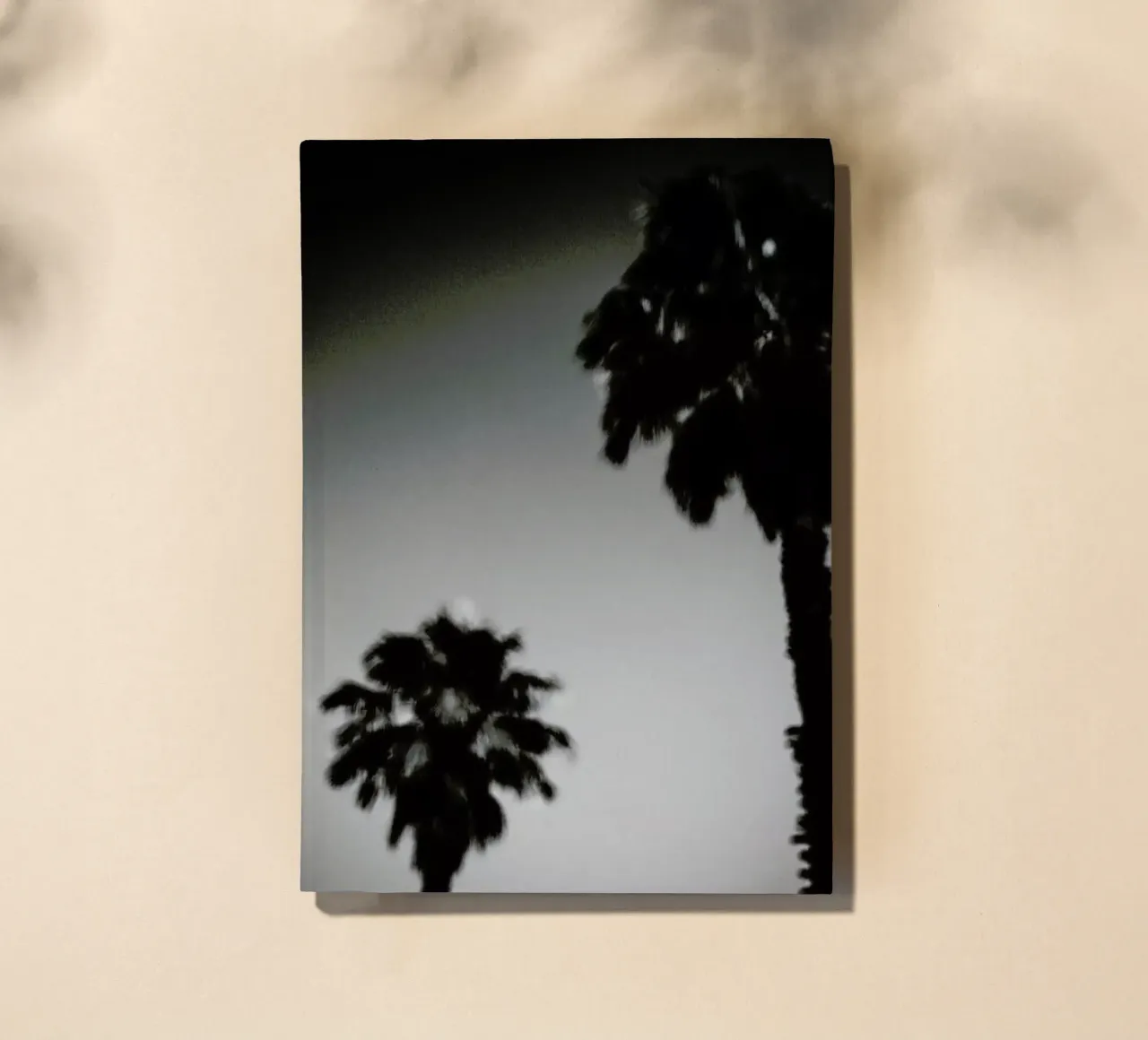 Why are palm trees so damn happy? notebook by Tal Paz-Fridman