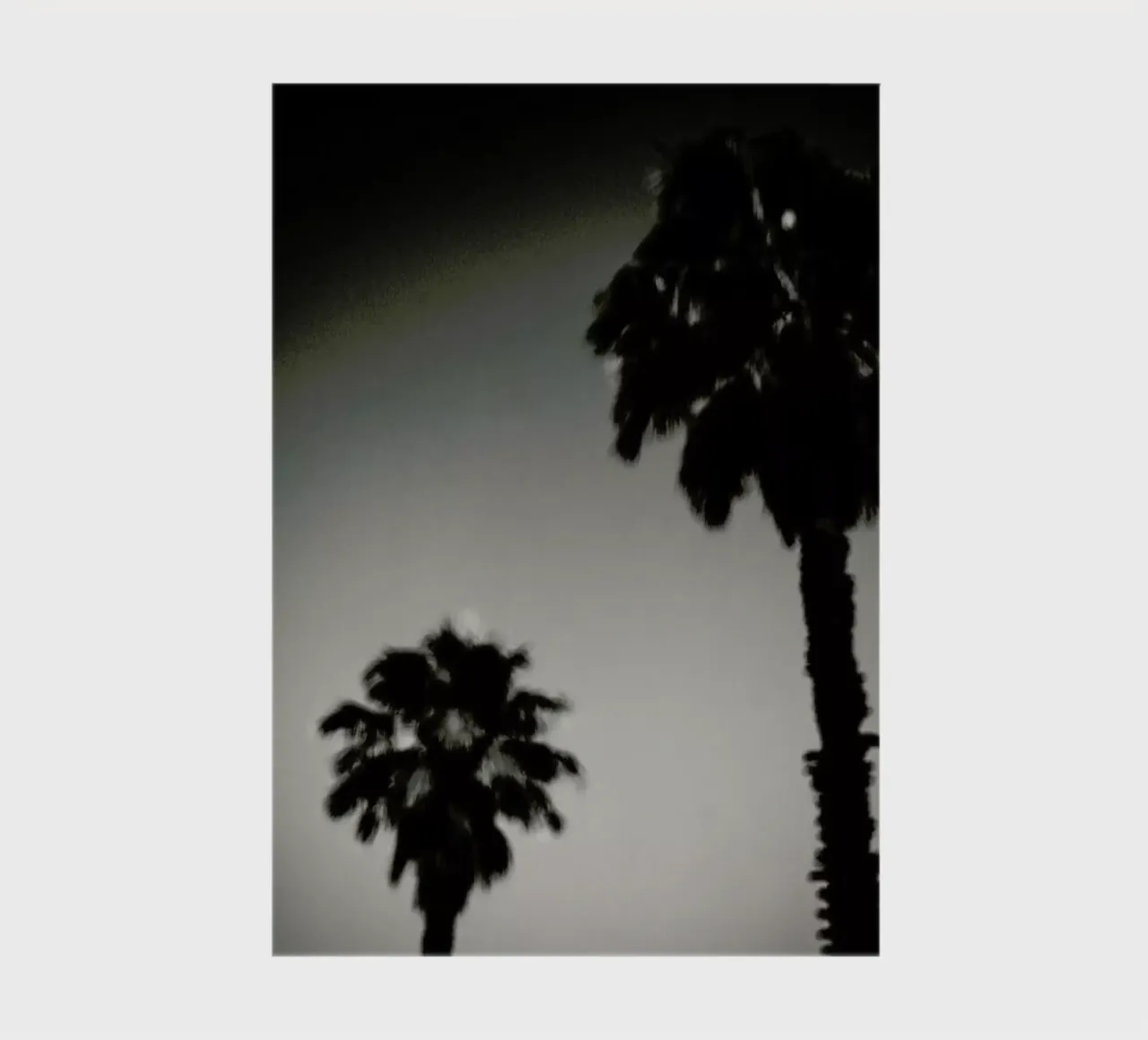 Why are palm trees so damn happy? Notizbuch von Tal Paz-Fridman