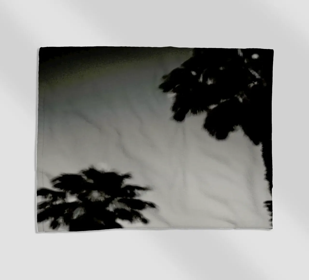 Why are palm trees so damn happy? telo mare da Tal Paz-Fridman