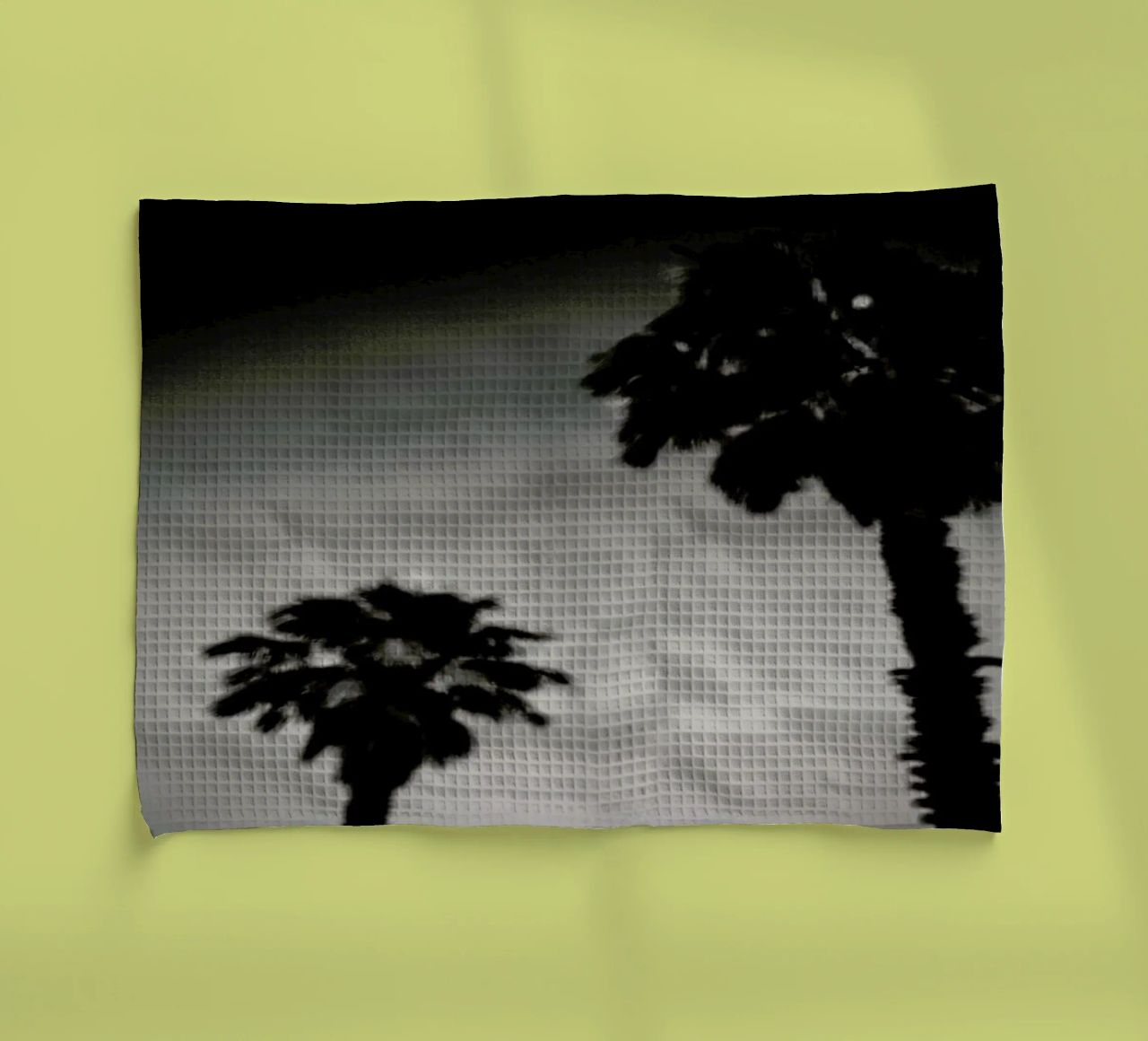 Why are palm trees so damn happy? canovaccio da cucina da Tal Paz-Fridman