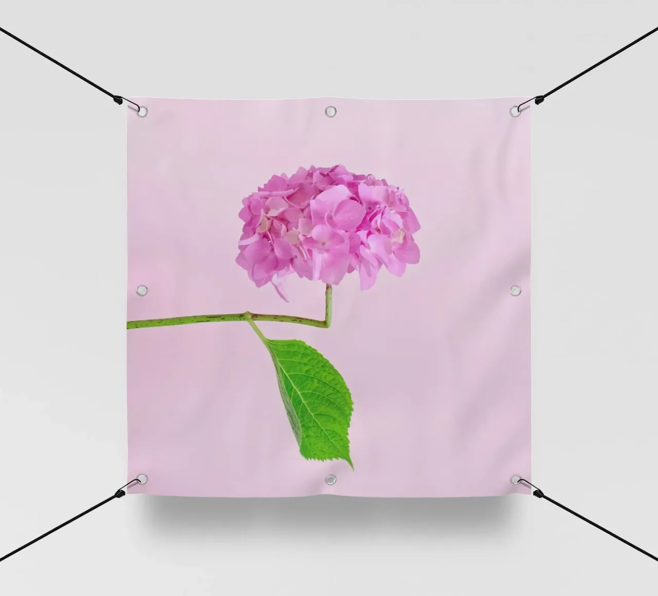 Adaptable telo in pvc da Juj Winn