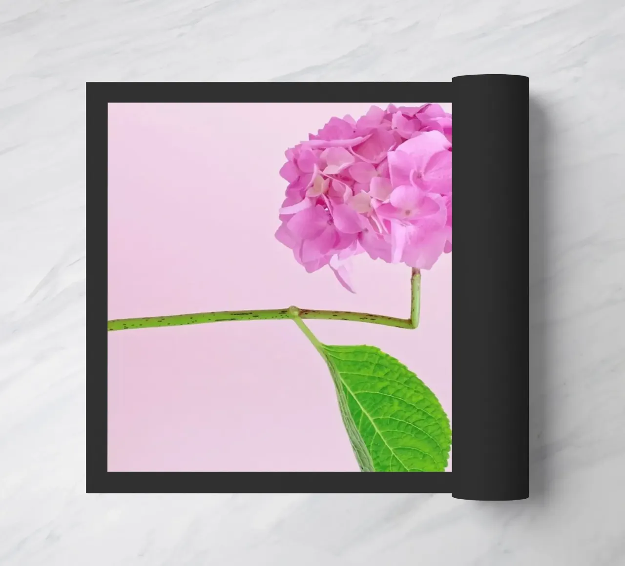 Adaptable zerbino da Juj Winn