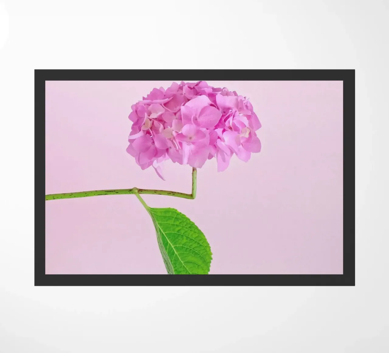 Adaptable zerbino da Juj Winn