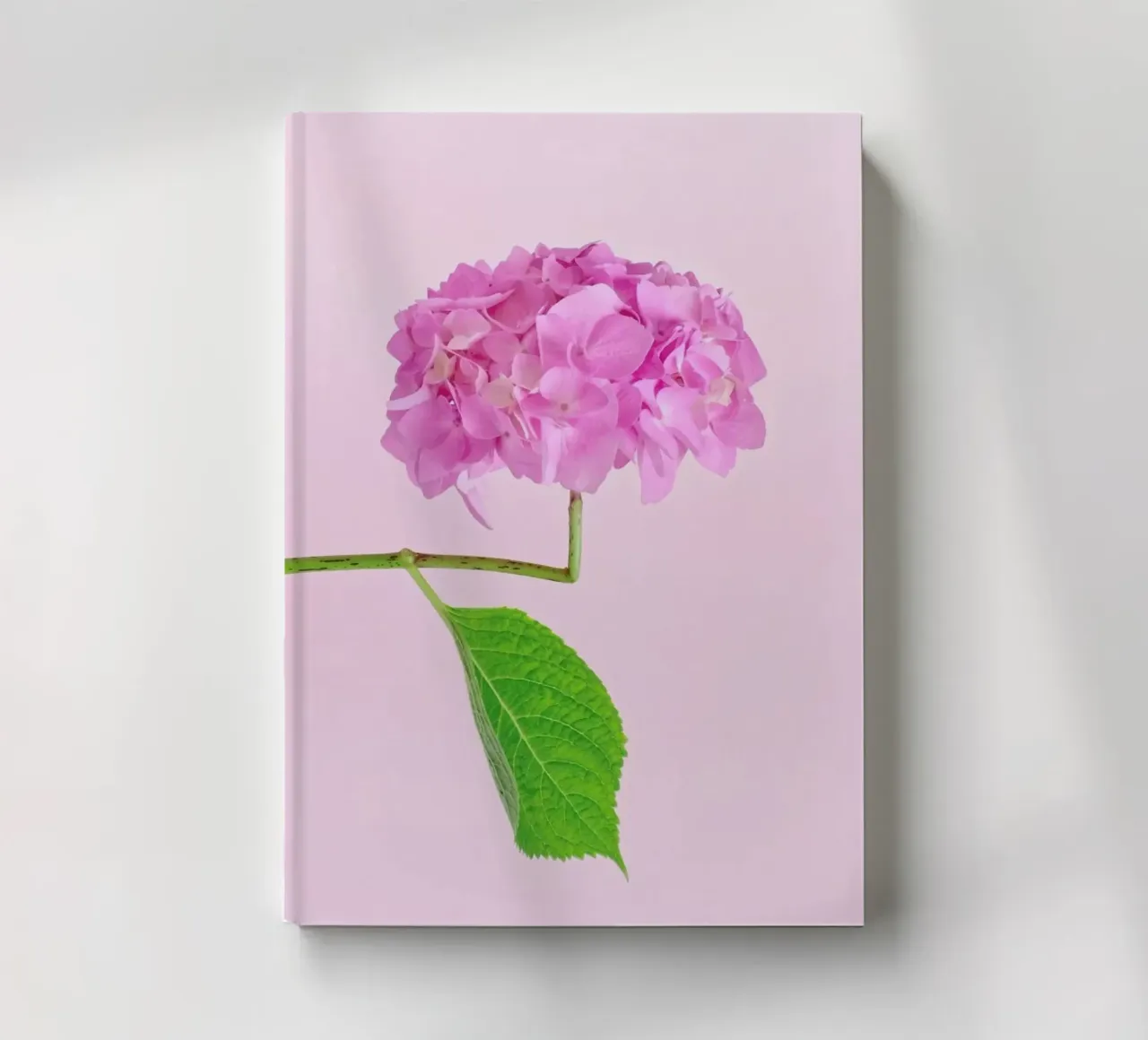 Adaptable notebook by Juj Winn