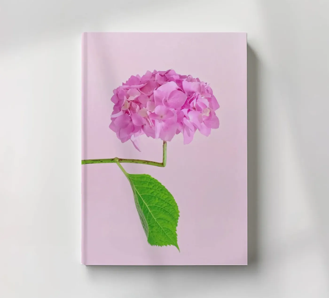 Adaptable notebook by Juj Winn