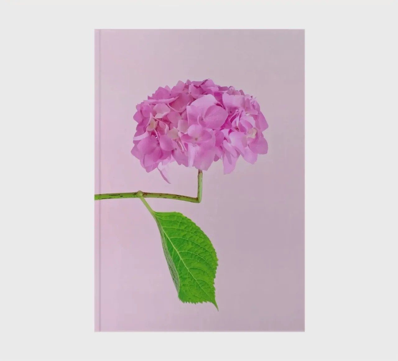 Adaptable notebook by Juj Winn