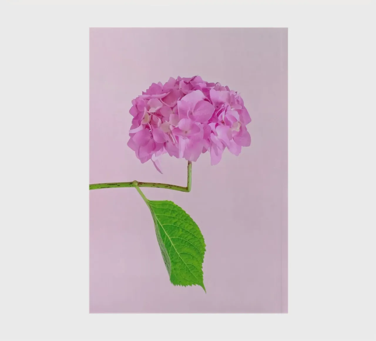 Adaptable notebook by Juj Winn