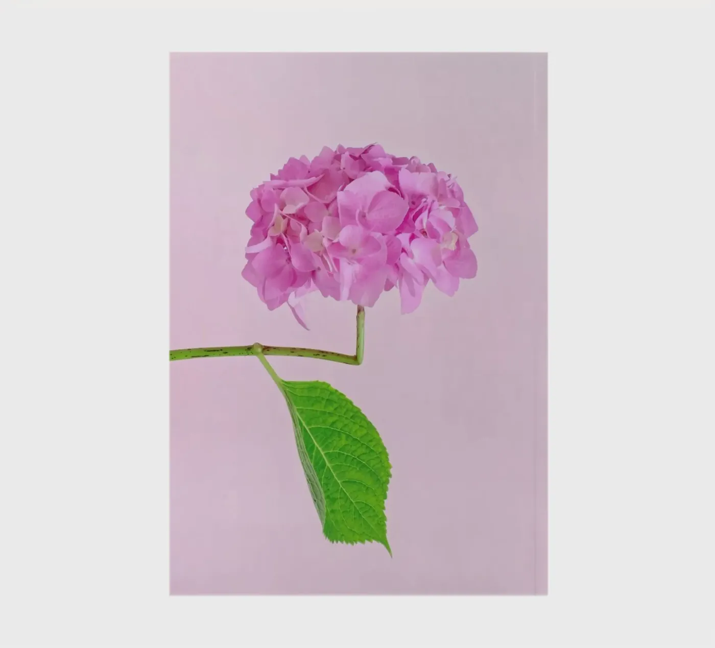 Adaptable notebook by Juj Winn