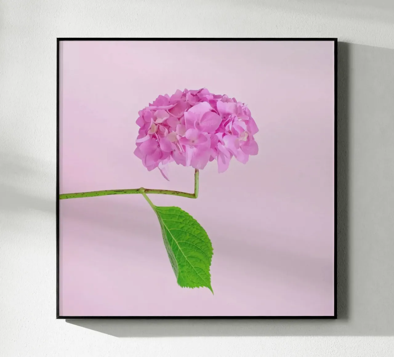 Adaptable acryl van Juj Winn