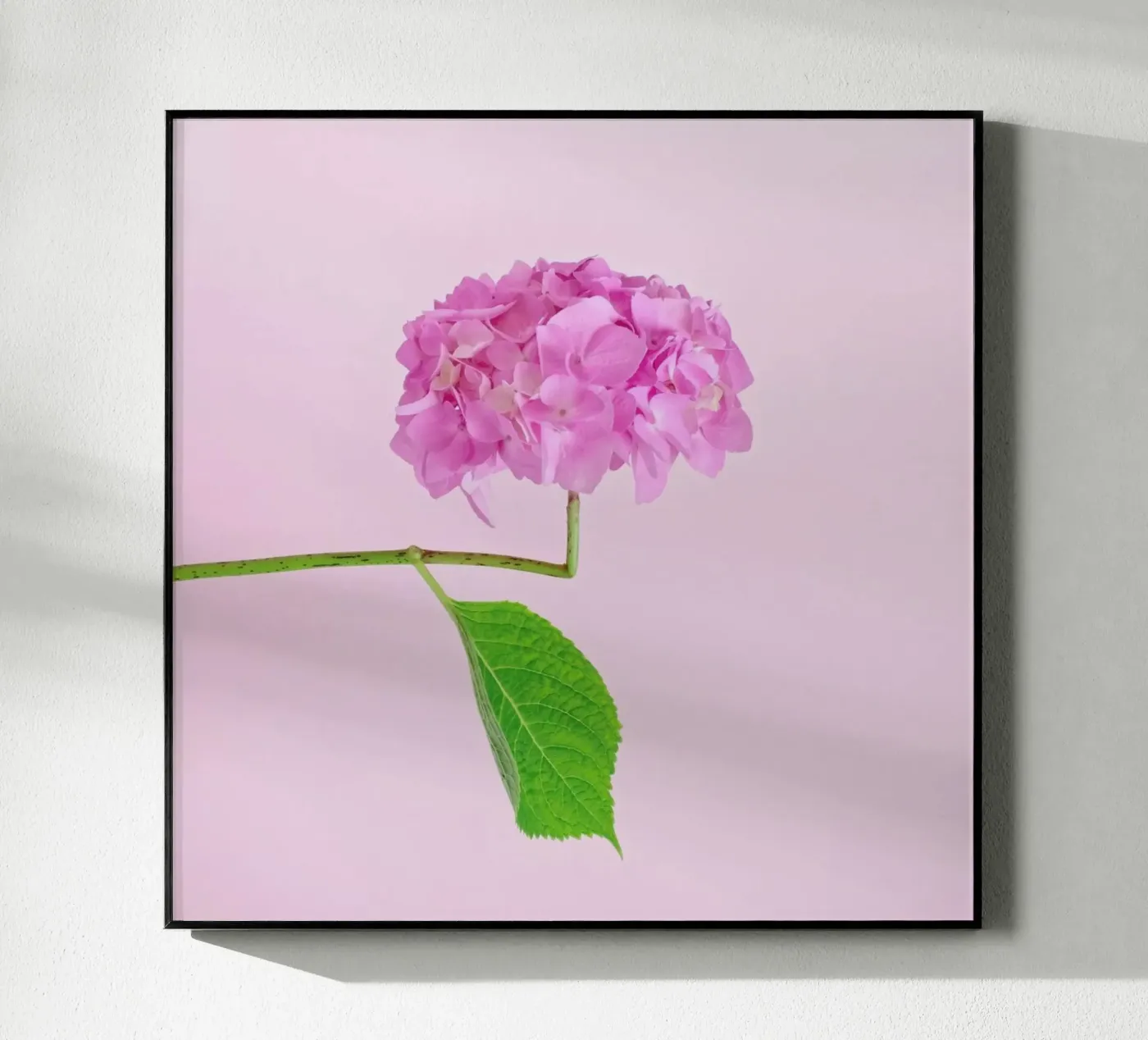 Adaptable acrylic glass by Juj Winn