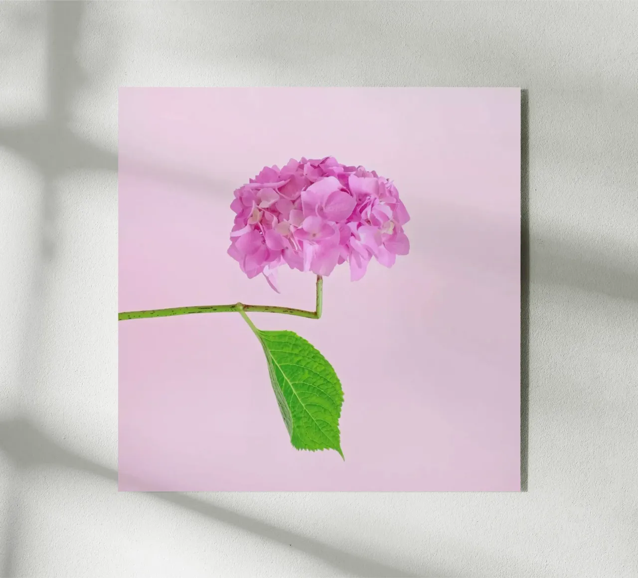 Adaptable acryl van Juj Winn