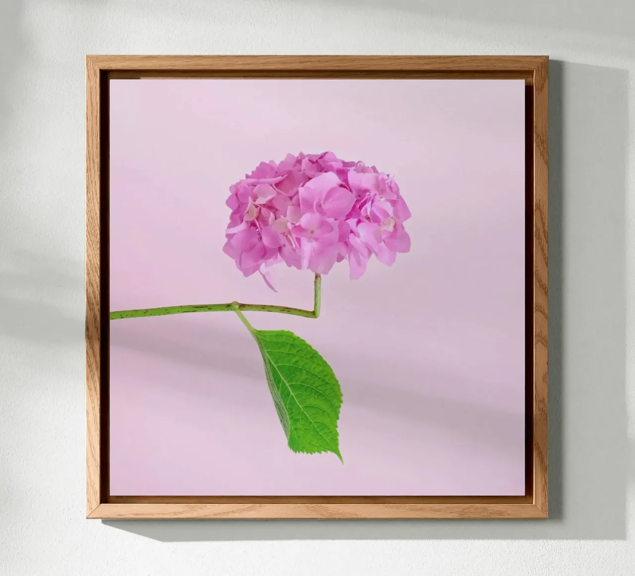 Adaptable forex plate by Juj Winn