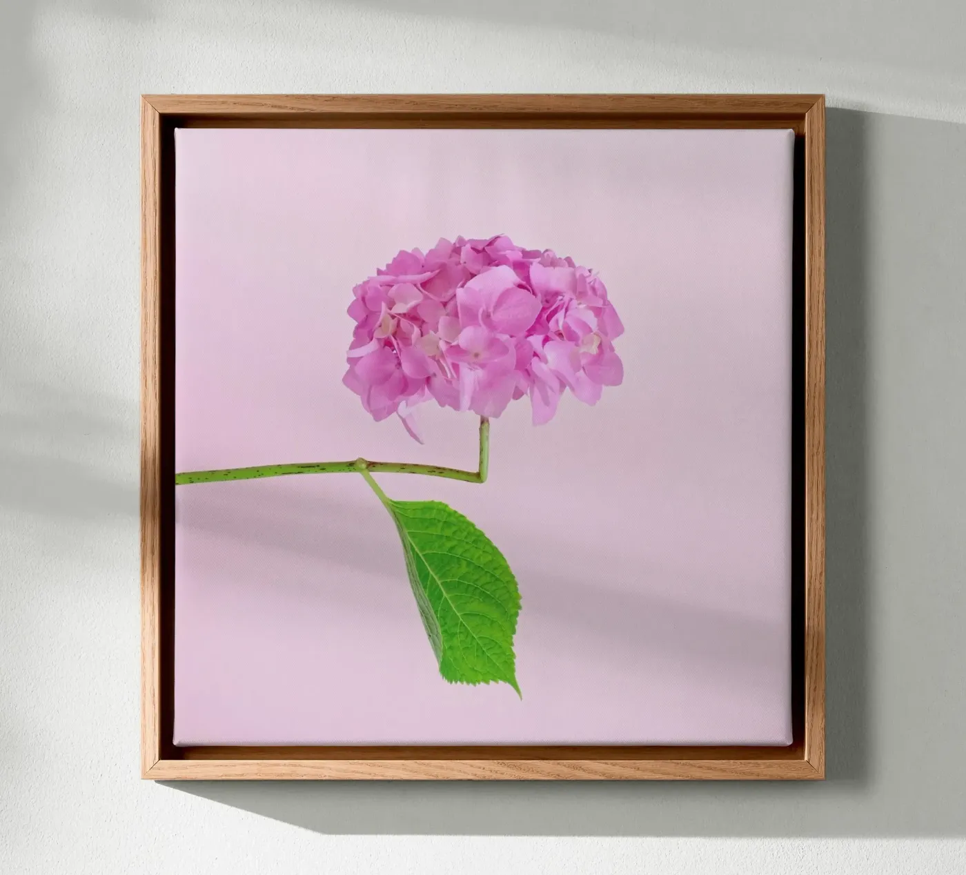 Adaptable canvas van Juj Winn