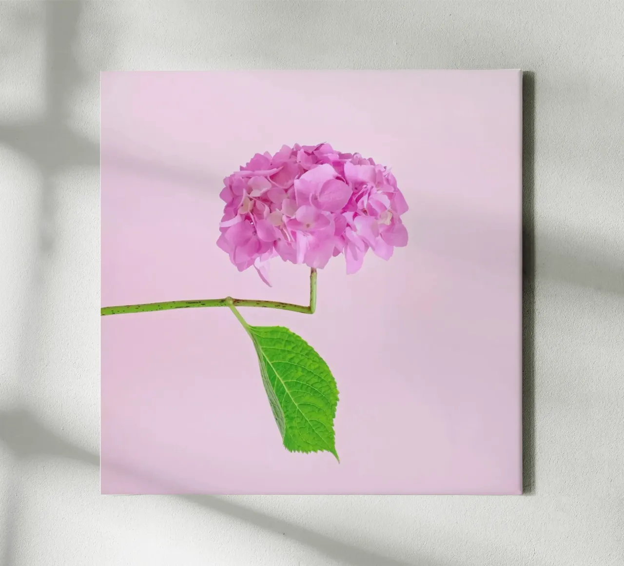 Adaptable tela da Juj Winn