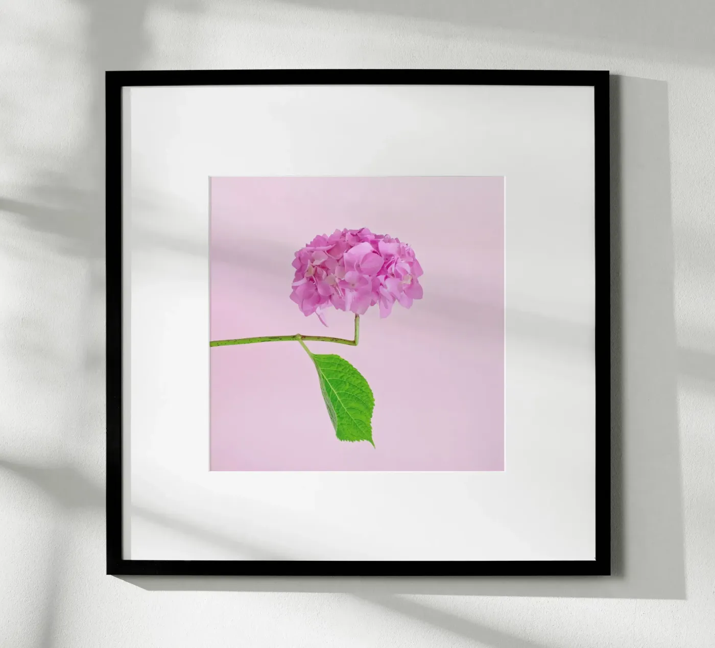 Adaptable poster de Juj Winn