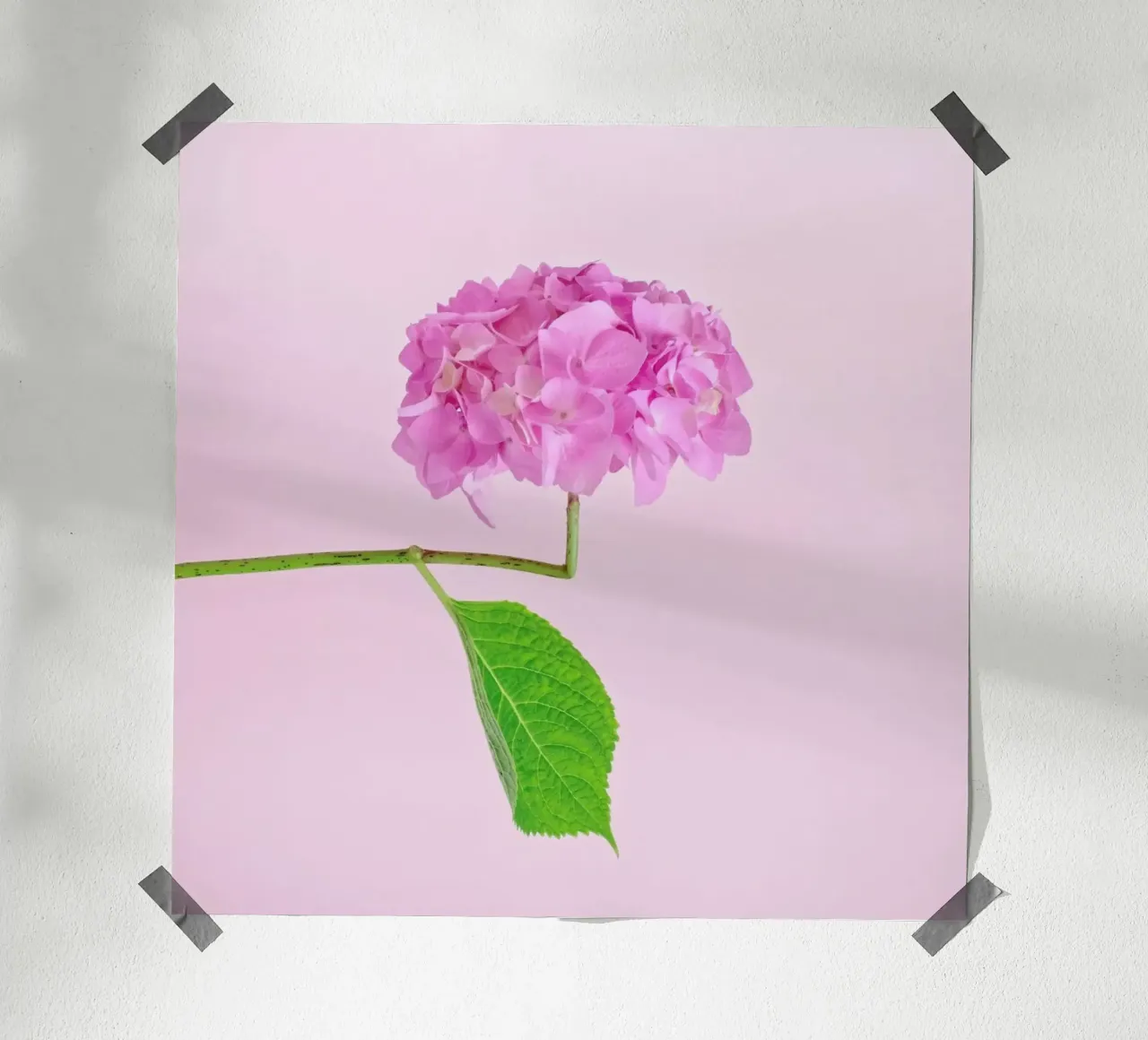 Adaptable poster van Juj Winn