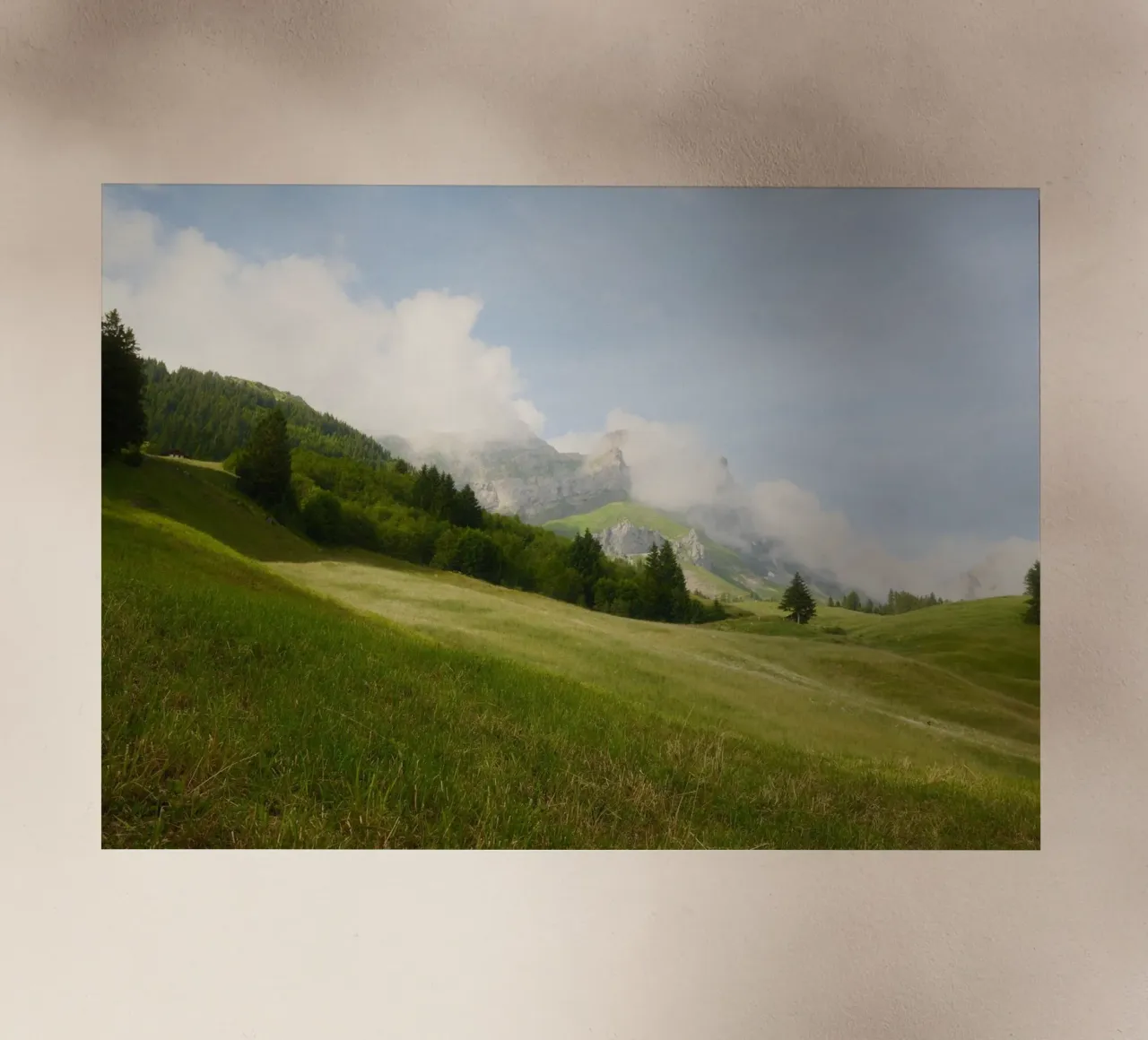 Misty Alpine Meadows pellicola backlit da FujiSwiss