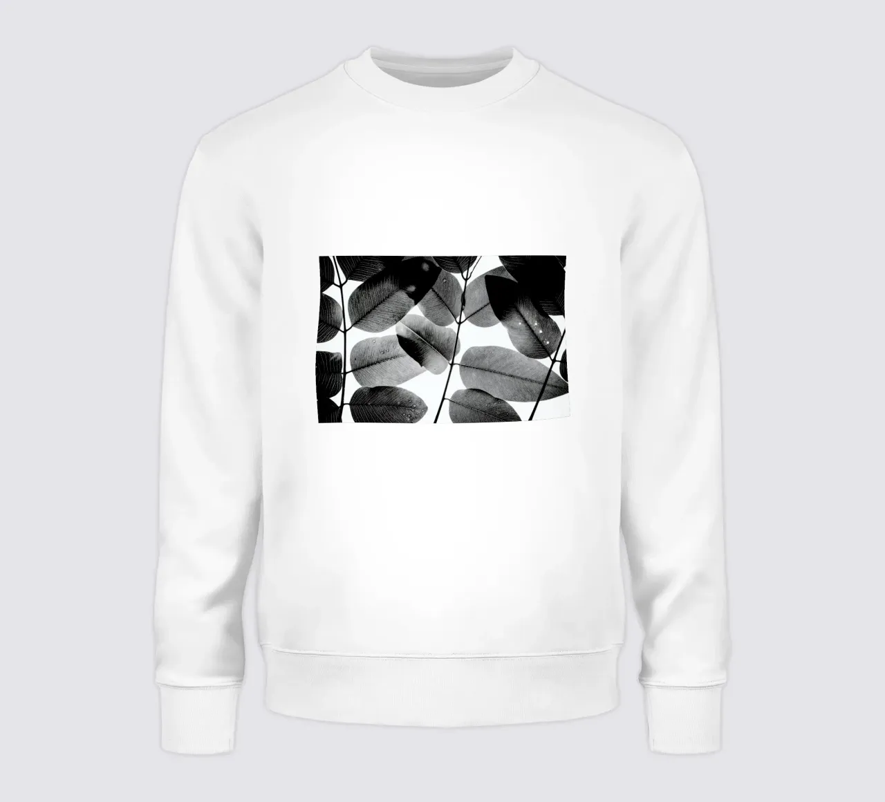 Experiments with Leaves 1 Sweatshirt von Tal Paz-Fridman