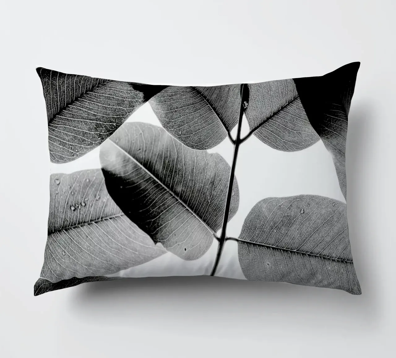 Experiments with Leaves 1 Kissen von Tal Paz-Fridman