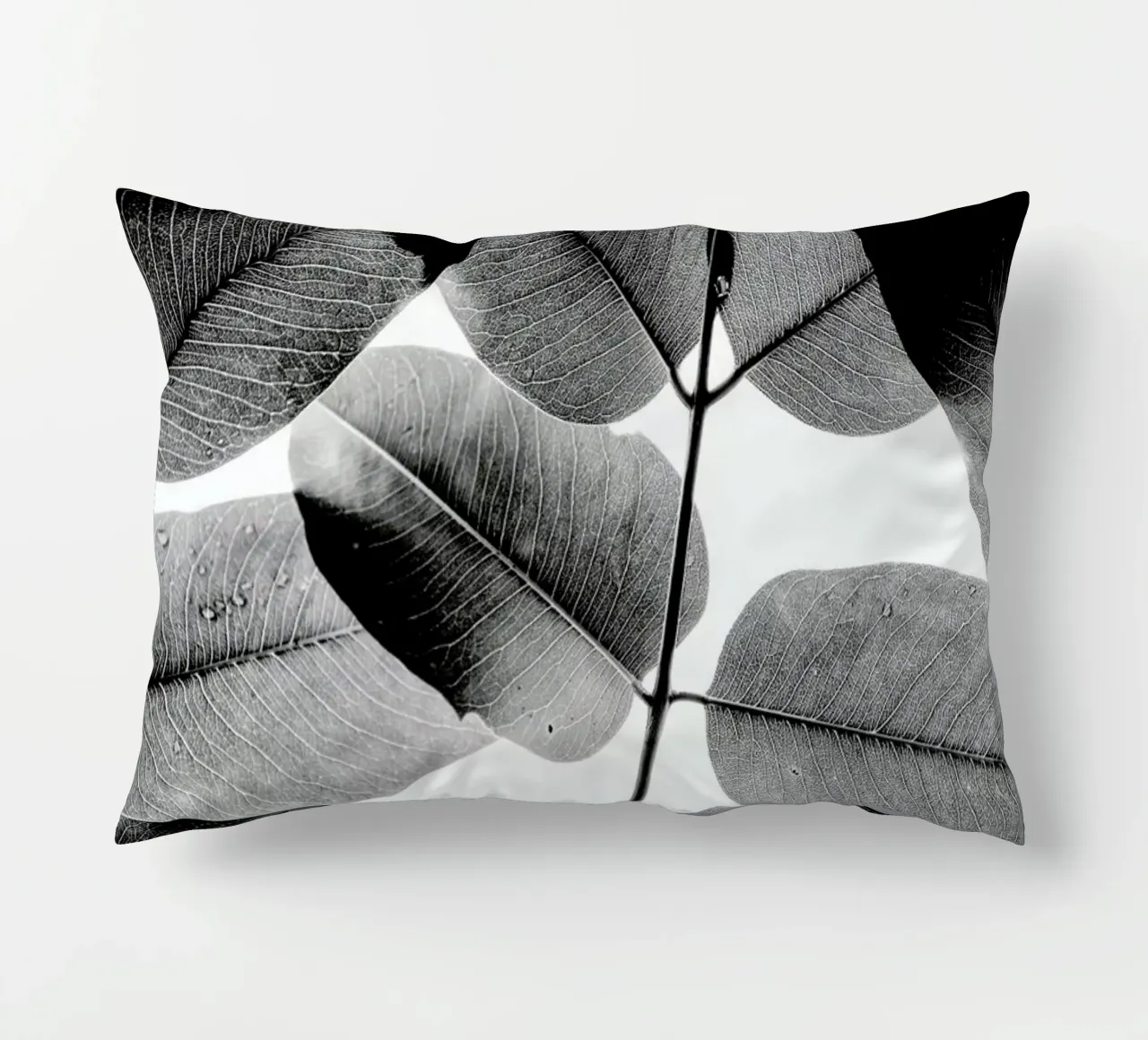 Experiments with Leaves 1 Kissen von Tal Paz-Fridman