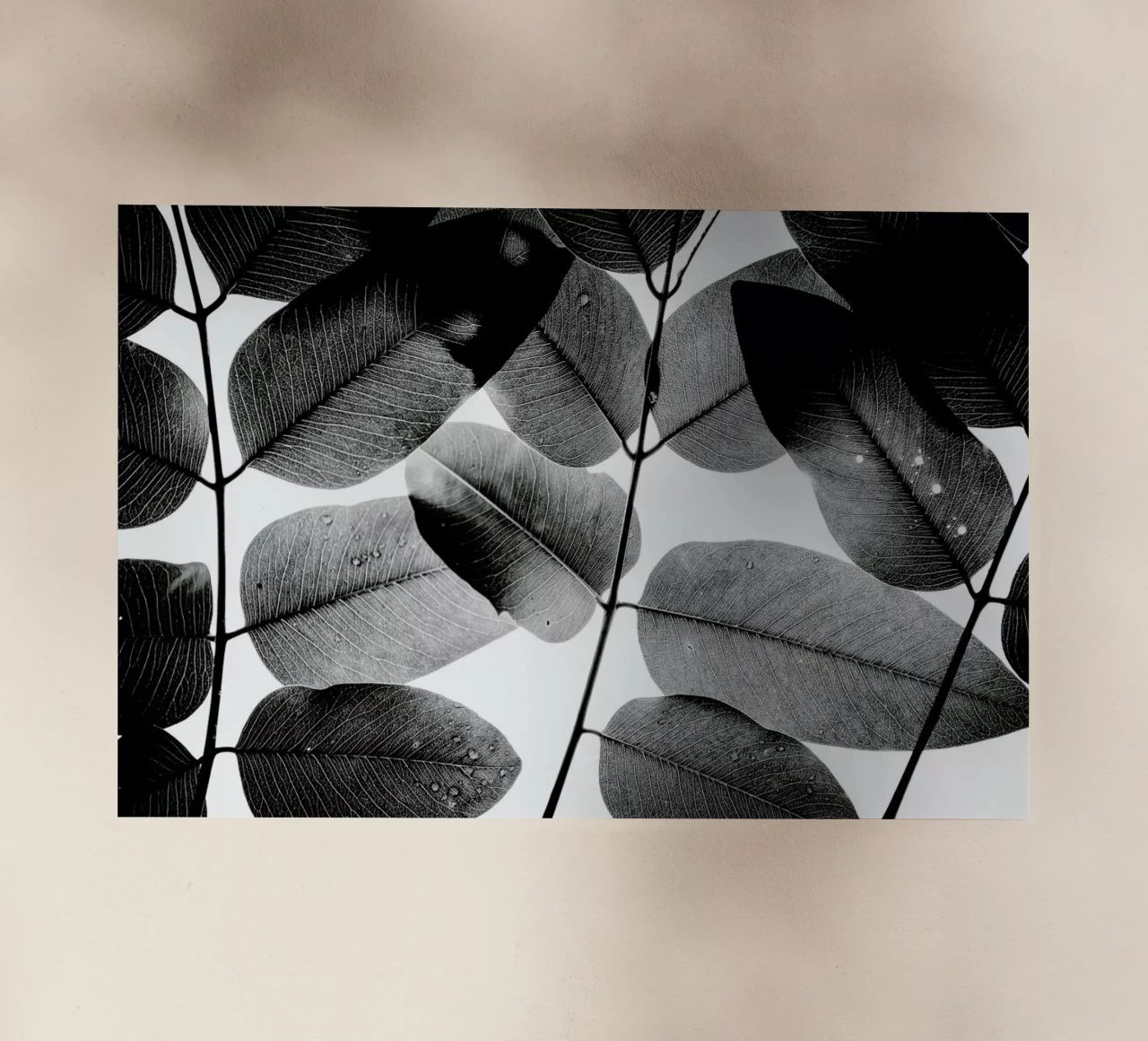 Experiments with Leaves 1 pellicola backlit da Tal Paz-Fridman