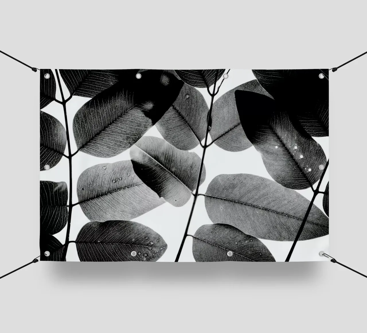 Experiments with Leaves 1 PVC Plane von Tal Paz-Fridman
