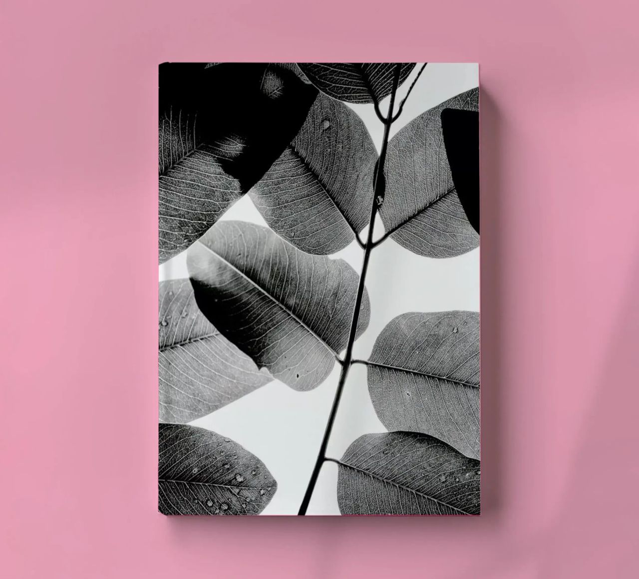 Experiments with Leaves 1 notebook by Tal Paz-Fridman
