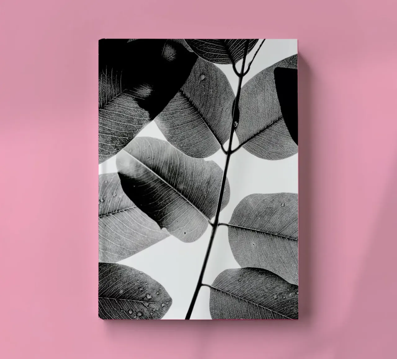 Experiments with Leaves 1 carnet de notes de Tal Paz-Fridman