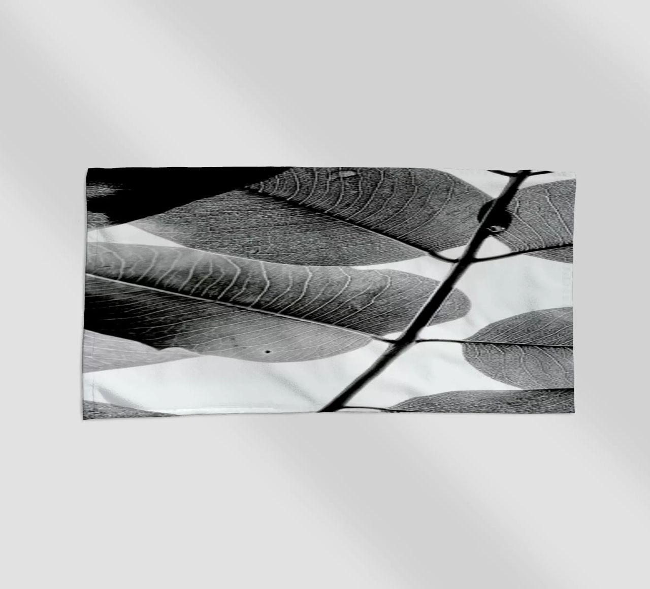 Experiments with Leaves 1 telo mare da Tal Paz-Fridman