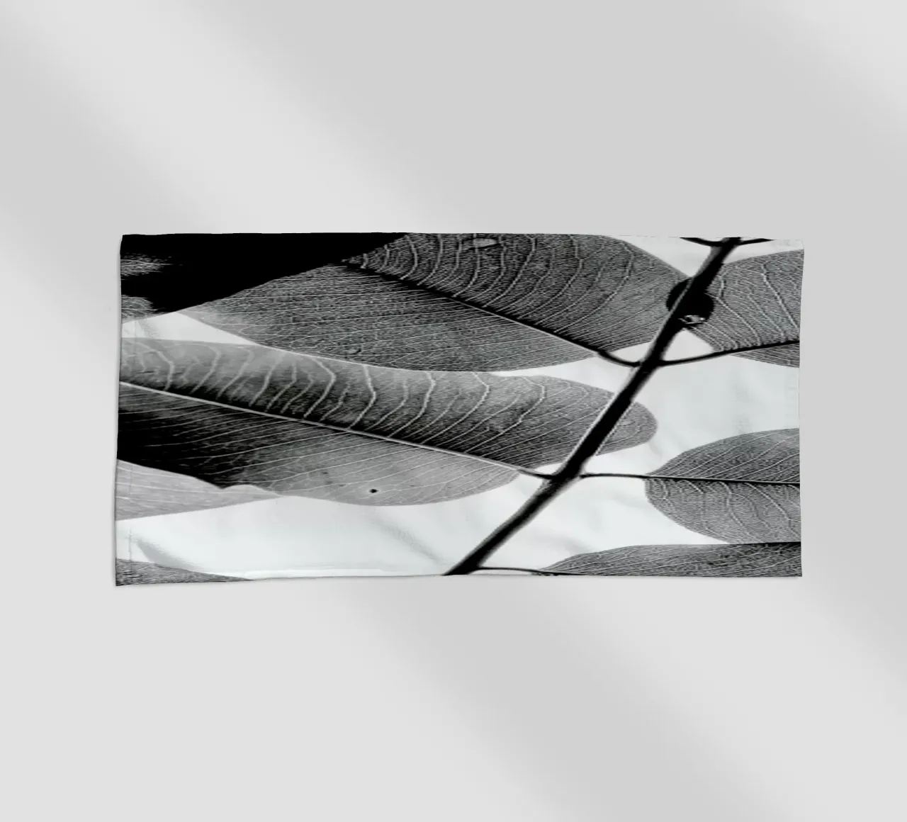 Experiments with Leaves 1 telo mare da Tal Paz-Fridman
