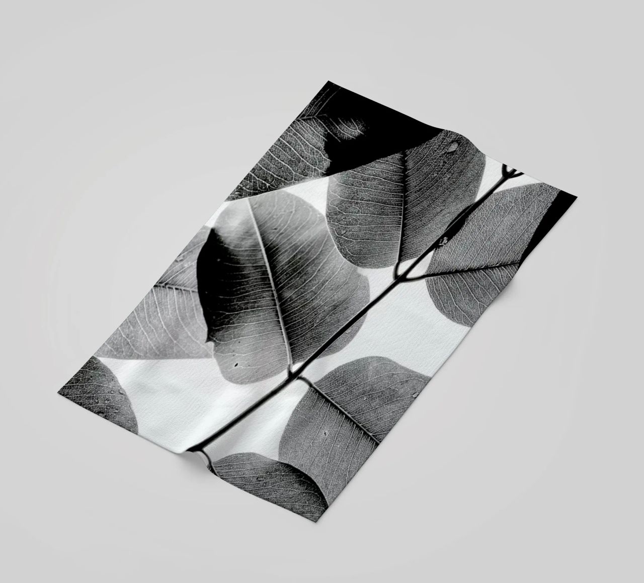 Experiments with Leaves 1 telo mare da Tal Paz-Fridman
