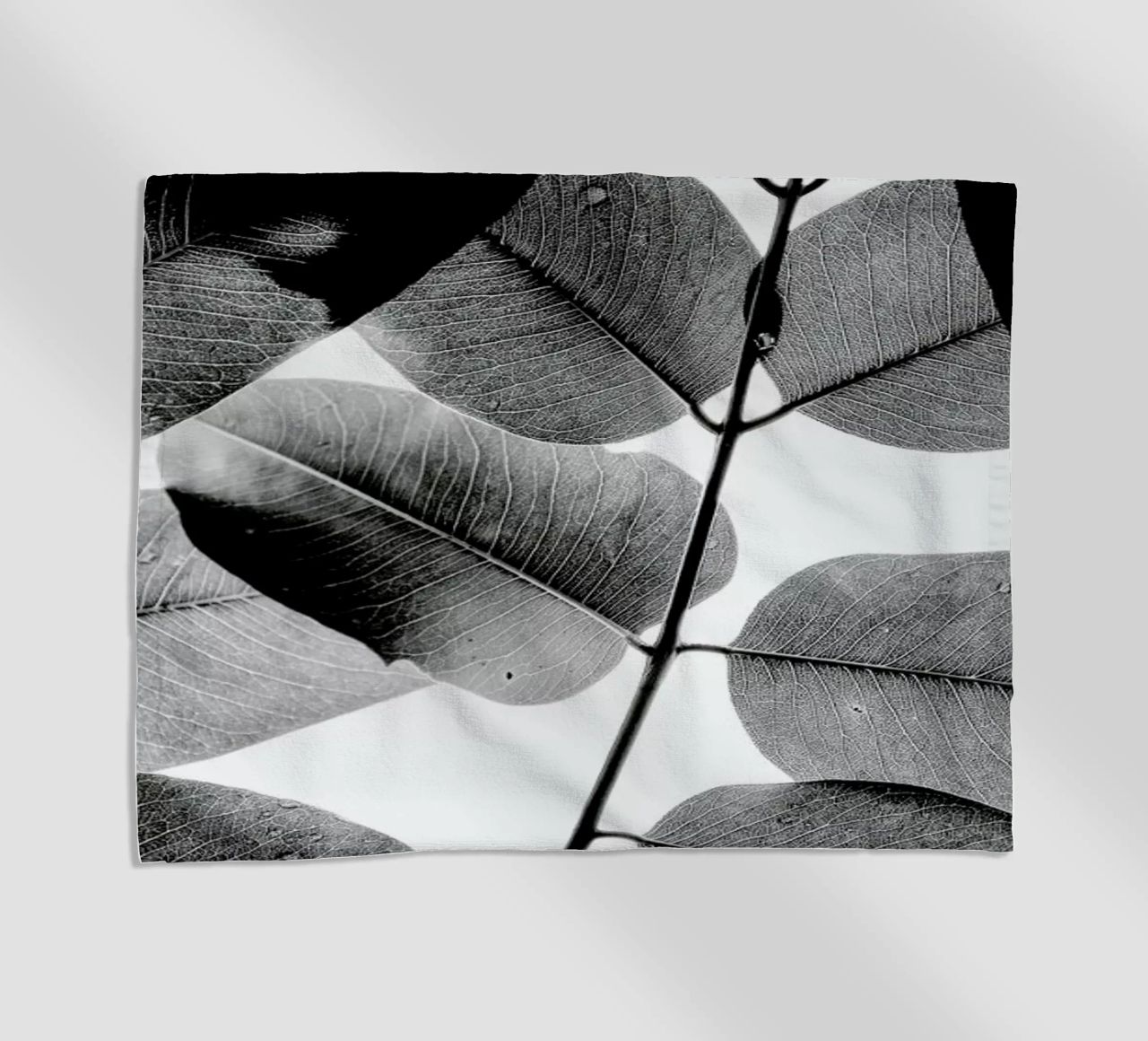 Experiments with Leaves 1 telo mare da Tal Paz-Fridman