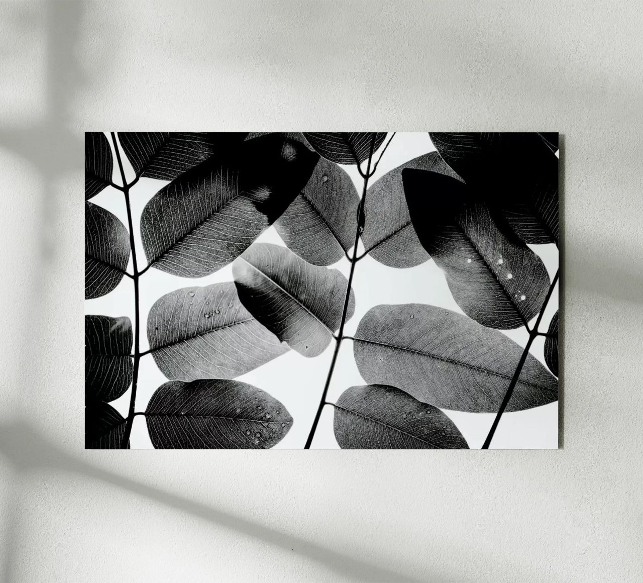 Experiments with Leaves 1 pannello forex da Tal Paz-Fridman