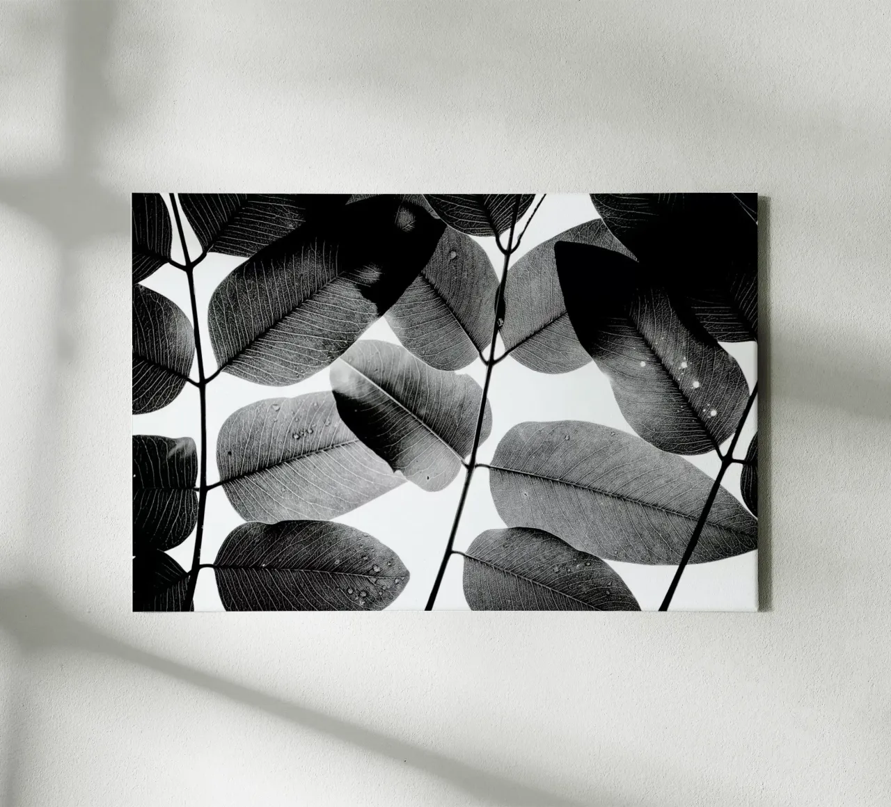 Experiments with Leaves 1 lienzo de Tal Paz-Fridman