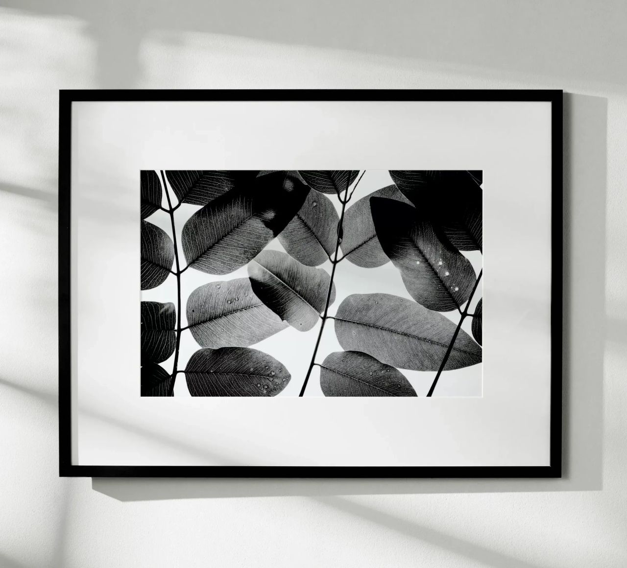 Experiments with Leaves 1 carta hahnemühle da Tal Paz-Fridman