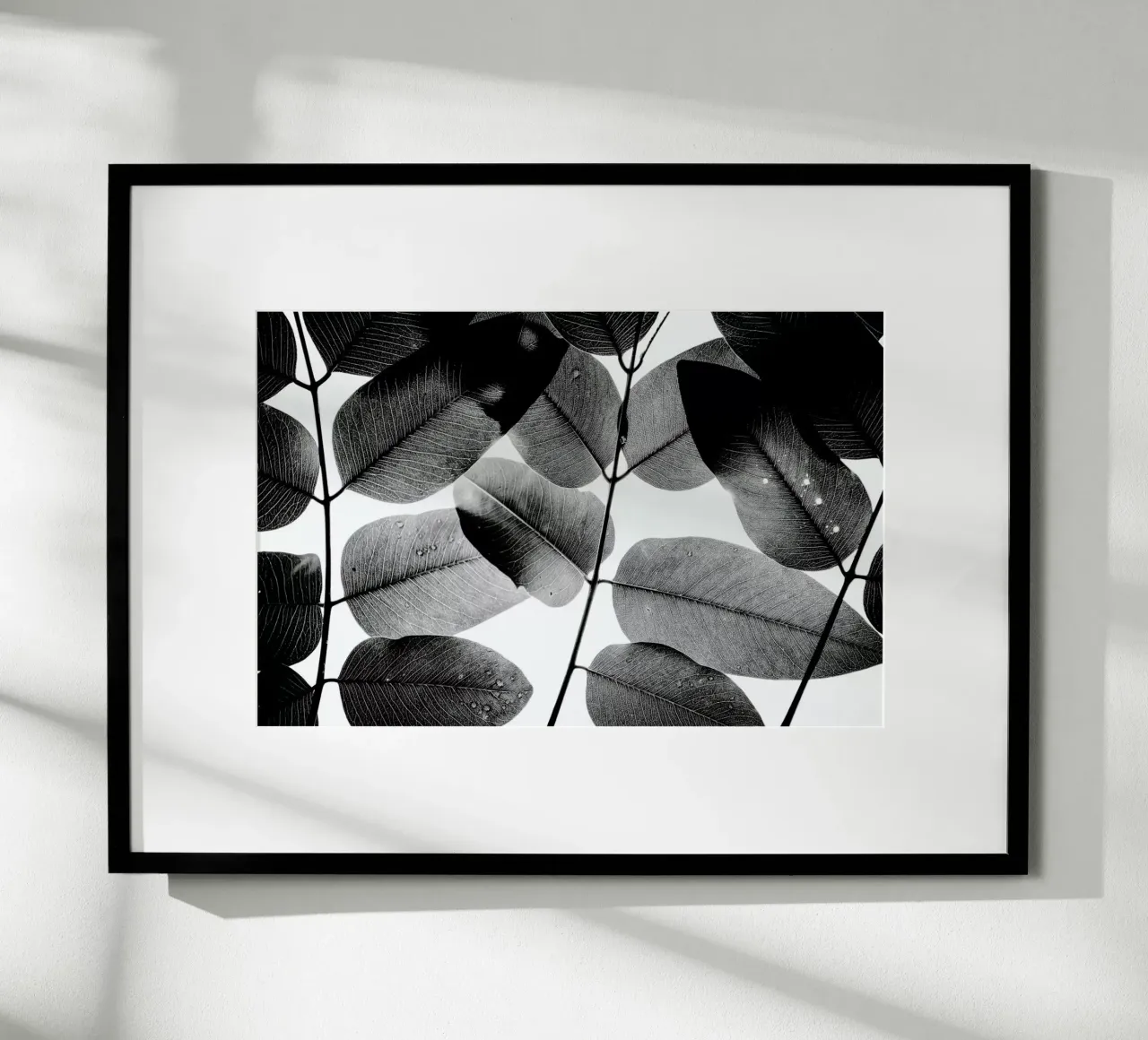 Experiments with Leaves 1 poster da Tal Paz-Fridman