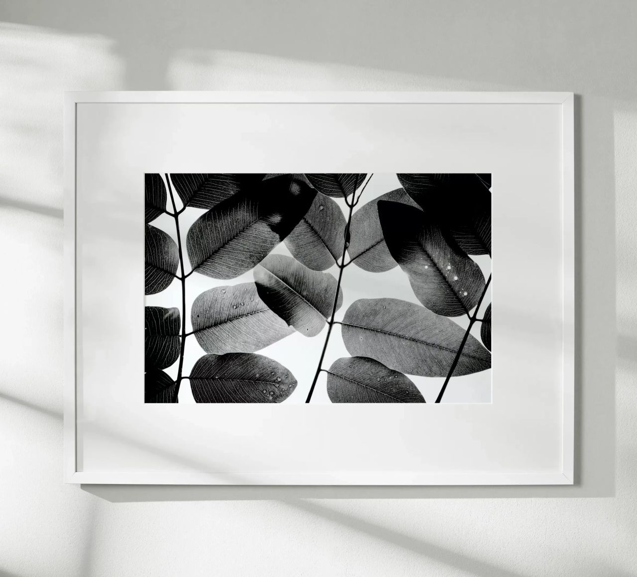 Experiments with Leaves 1 carta hahnemühle da Tal Paz-Fridman